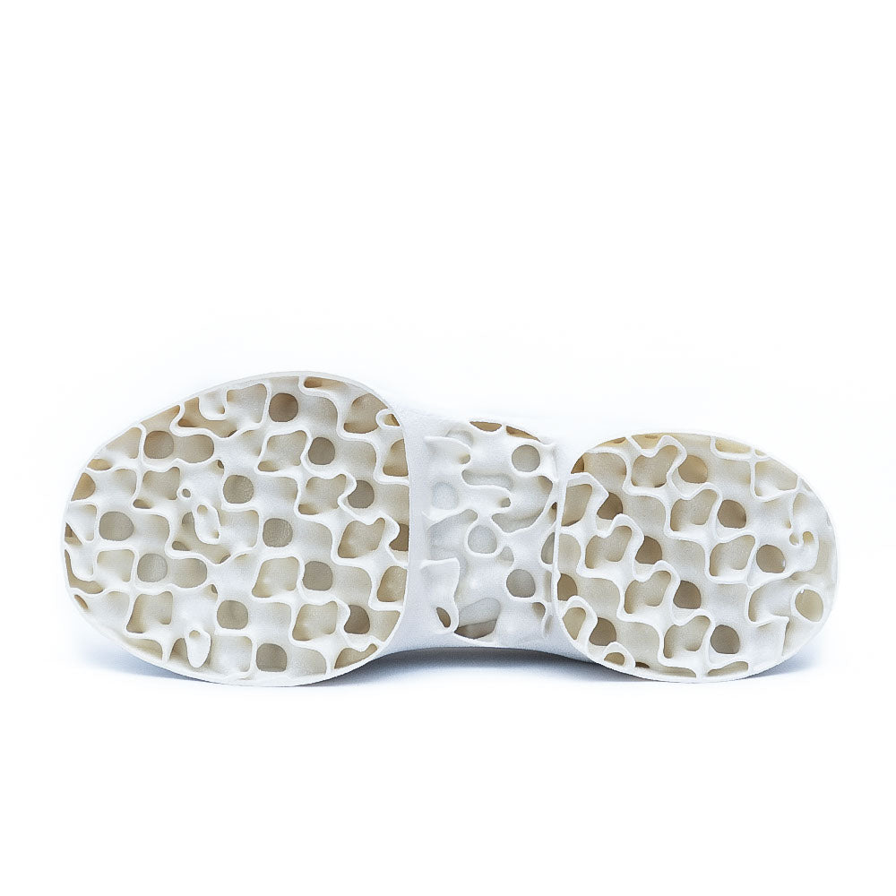 画像をギャラリービューアに読み込む, CL-ci White